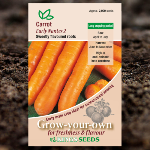 Vegetable Seeds - Carrot Early Nantes 2