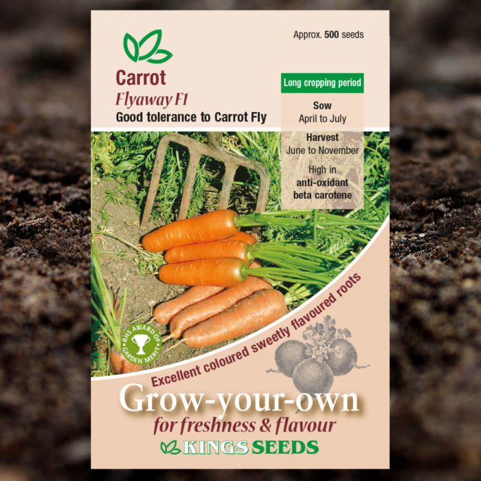 Vegetable Seeds - Carrot Flyaway F1