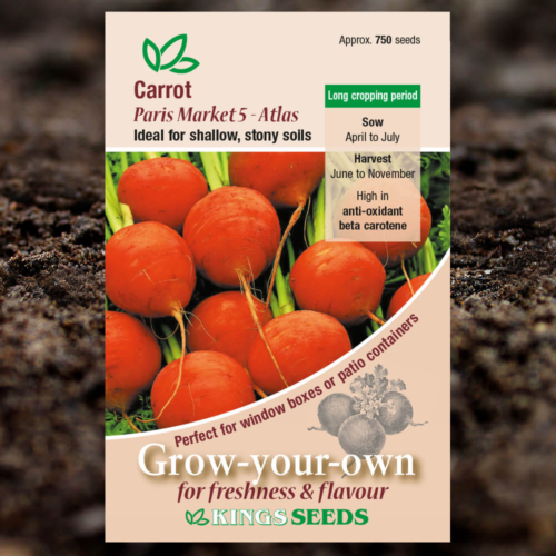 Vegetable Seeds - Carrot Paris Market 5 - Atlas