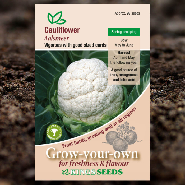Vegetable Seeds - Cauliflower Aalsmeer