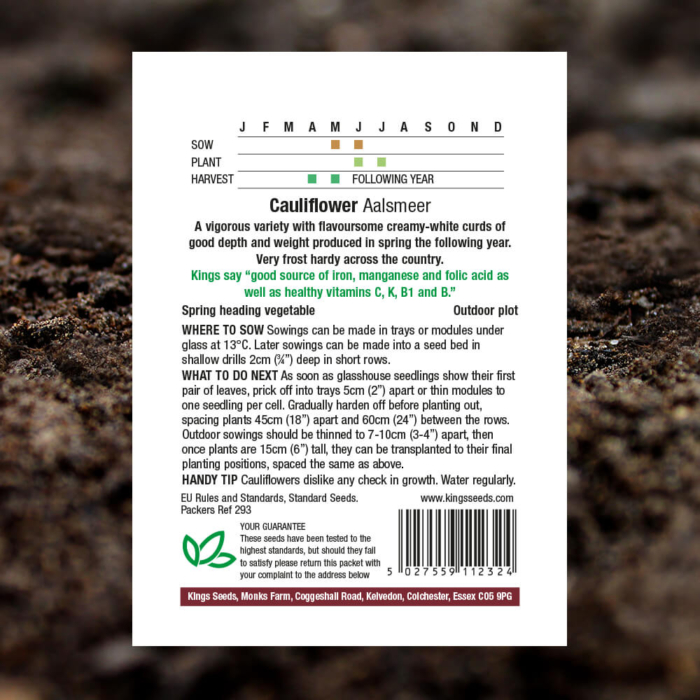 Vegetable Seeds - Cauliflower Aalsmeer - Pack Reverse