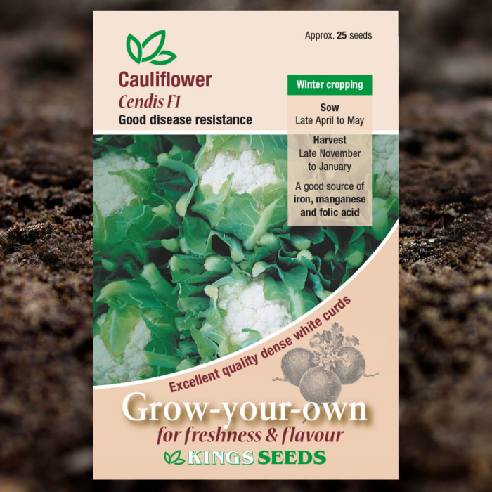 Vegetable Seeds - Cauliflower Cendis F1