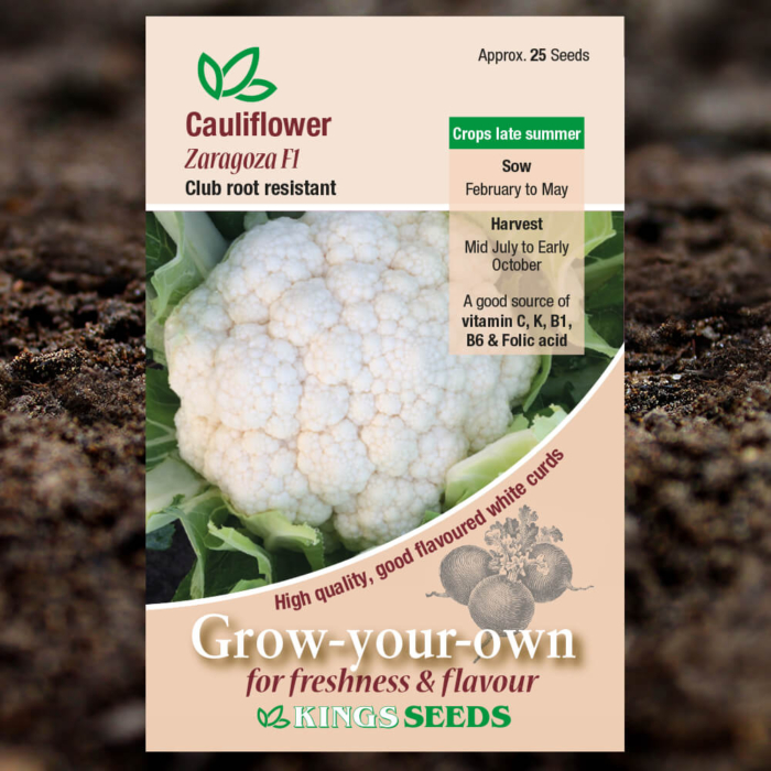 Vegetable Seeds - Cauliflower Zaragoza F1