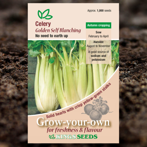 Vegetable Seeds - Celery Golden Self Blanching