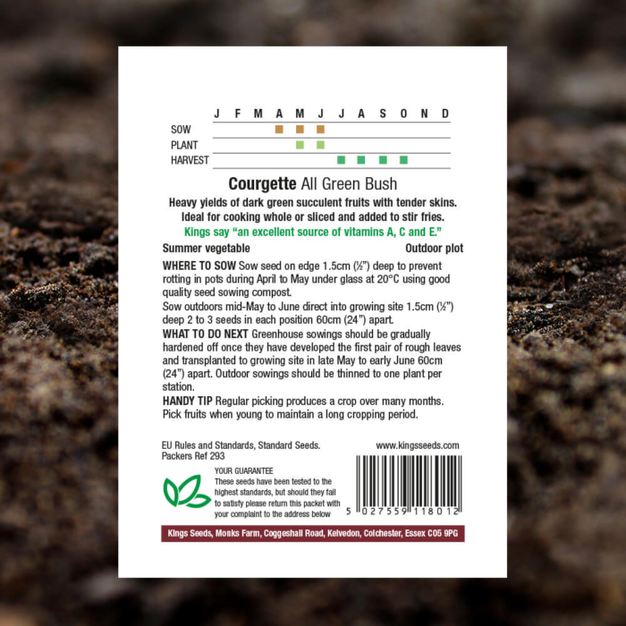 Vegetable Seeds - Courgette All Green Bush - Pack Reverse