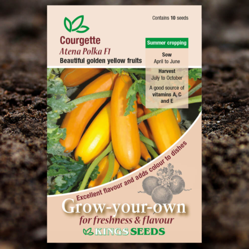 Vegetable Seeds - Courgette Atena Polka F1