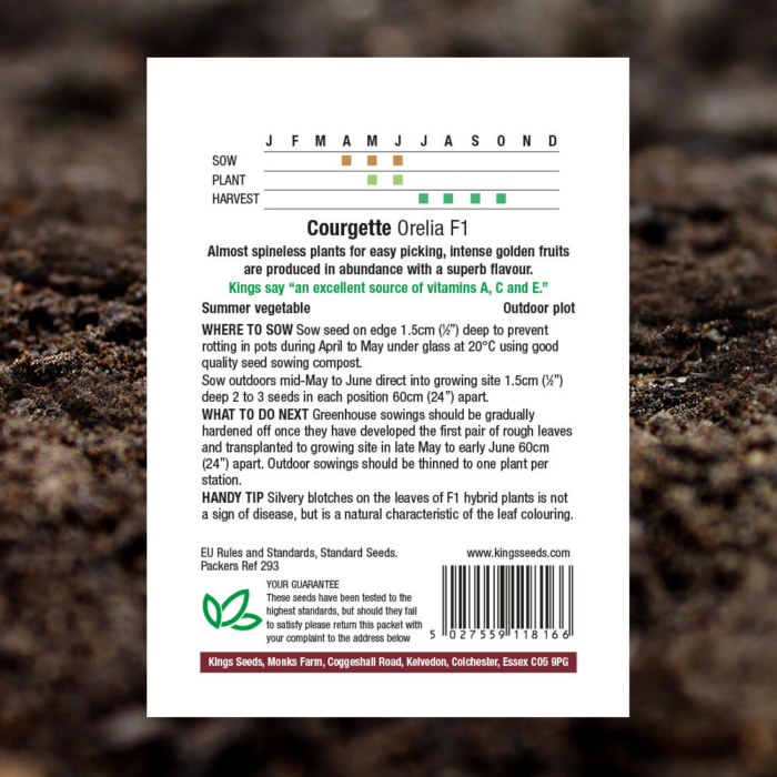 Vegetable Seeds - Courgette Orelia F1 - Pack Reverse
