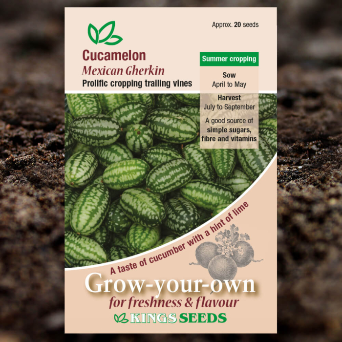 Vegetable Seeds - Cucamelon Mexican Gherkin