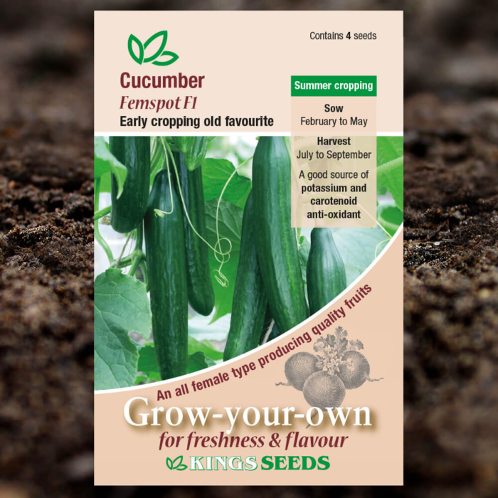 Vegetable Seeds - Cucumber Femspot F1