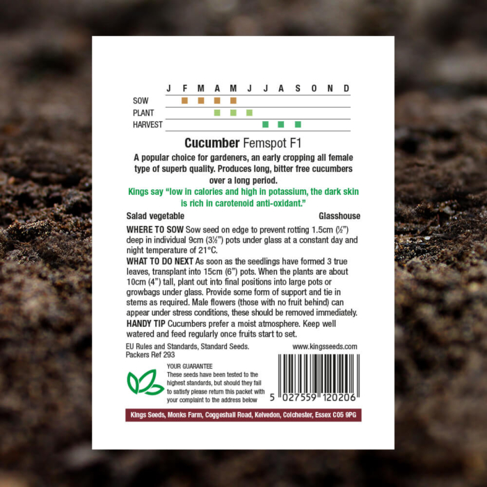 Vegetable Seeds - Cucumber Femspot F1 - Pack Reverse