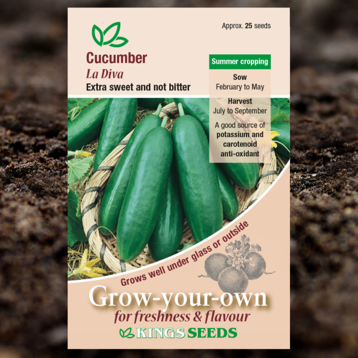 Vegetable Seeds - Cucumber La Diva