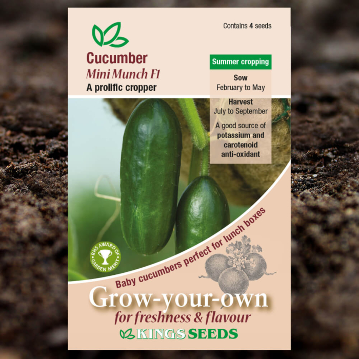 Vegetable Seeds - Cucumber Mini Munch F1