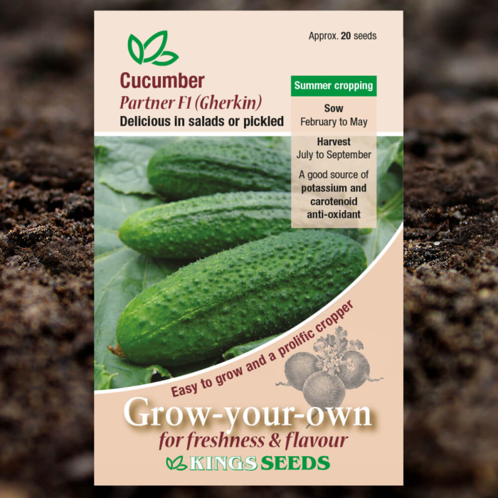 Vegetable Seeds - Cucumber Partner F1 - Gherkin
