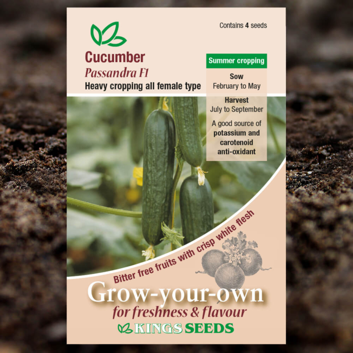 Vegetable Seeds - Cucumber Passandra F1