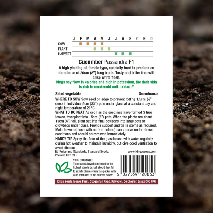 Vegetable Seeds - Cucumber Passandra F1 - Pack Reverse