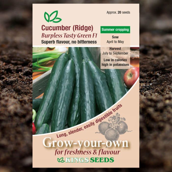 Vegetable Seeds - Cucumber - Ridge - Burpless Tasty Green F1