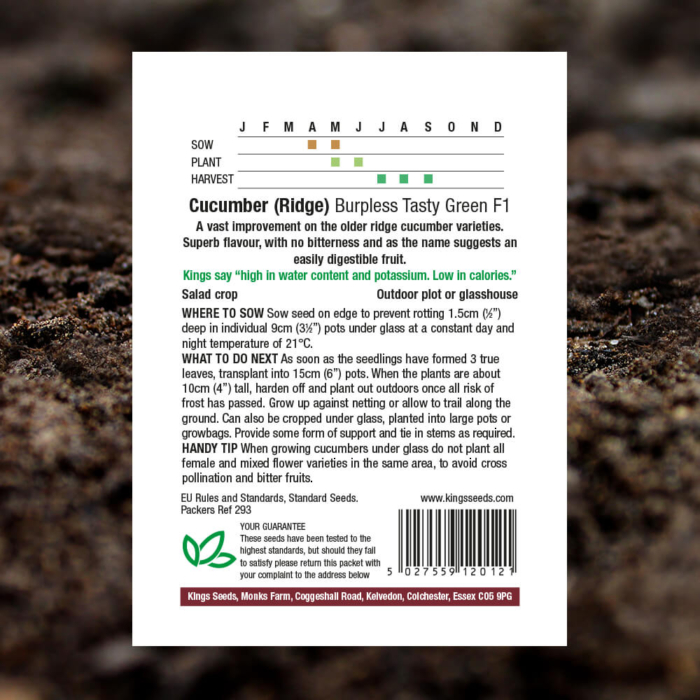 Vegetable Seeds - Cucumber - Ridge - Burpless Tasty Green F1 - Pack Reverse