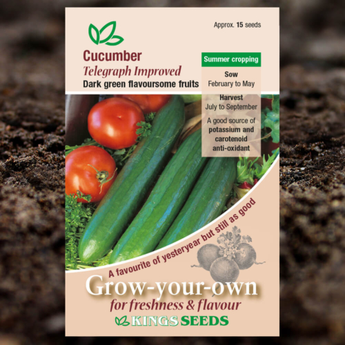 Vegetable Seeds - Cucumber Telegraph Improved