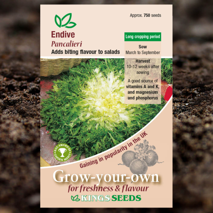 Vegetable Seeds - Endive Pancalieri