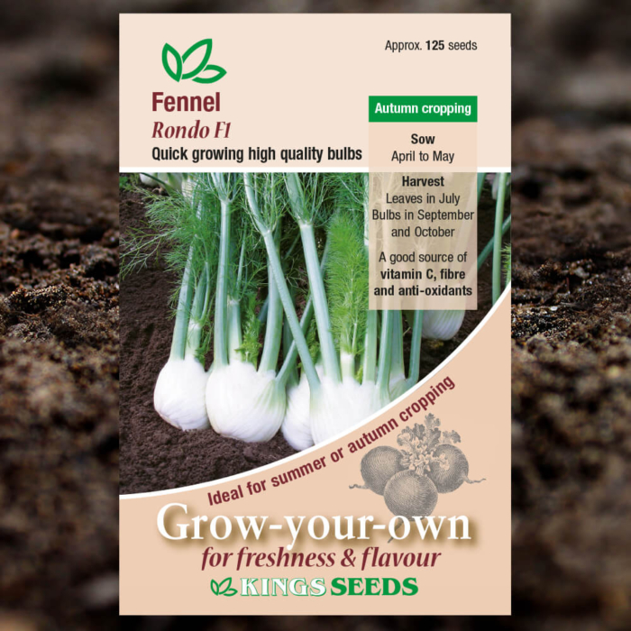 Vegetable Seeds - Fennel Rondo F1
