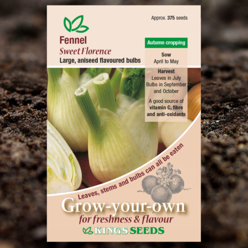 Vegetable Seeds - Fennel Sweet Florence