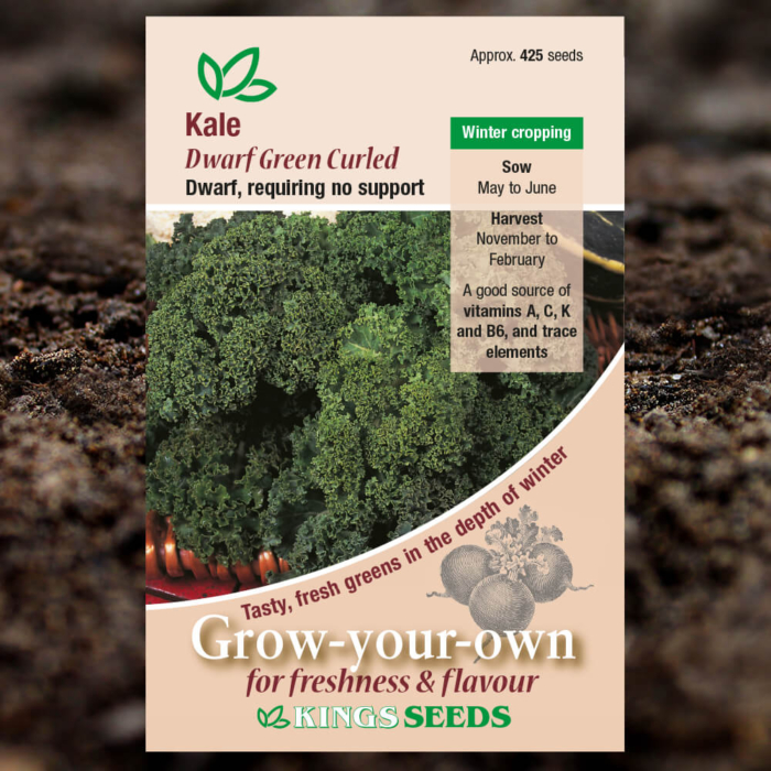 Vegetable Seeds - Kale Dwarf Green Curled