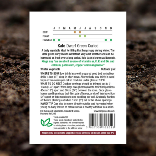 Vegetable Seeds - Kale Dwarf Green Curled - Pack Reverse