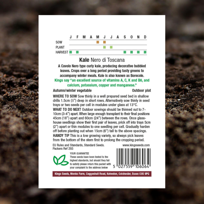 Vegetable Seeds - Kale Nero Di Toscana - Pack Reverse