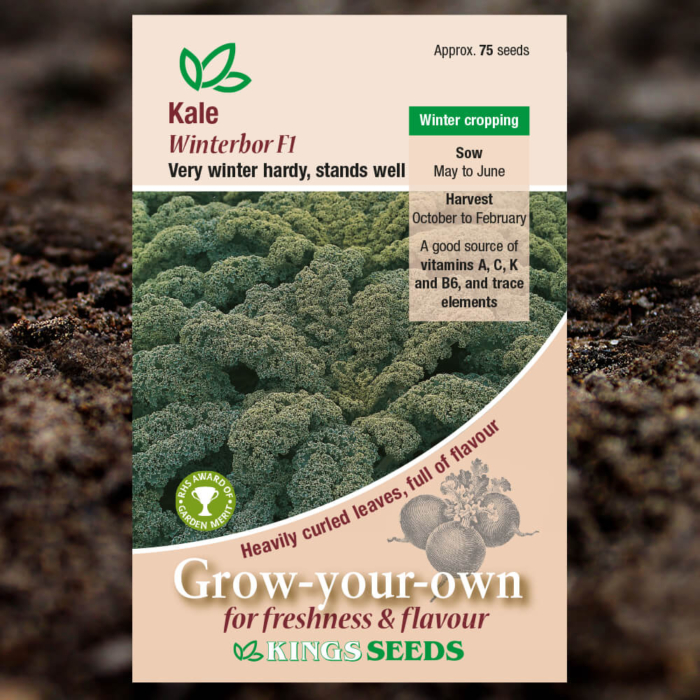Vegetable Seeds - Kale Winterbor F1