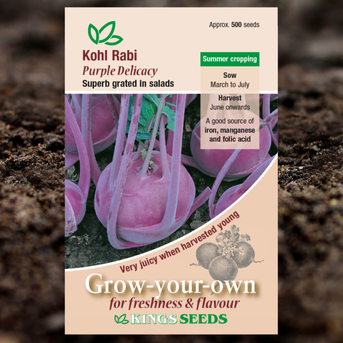 Vegetable Seeds - Kohl Rabi Purple Delicacy