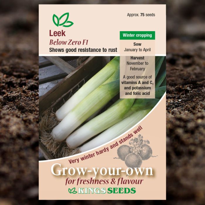 Vegetable Seeds - Leek Below Zero F1