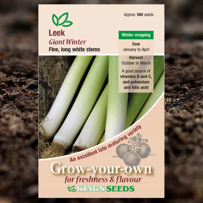 Vegetable Seeds - Leek Giant Winter