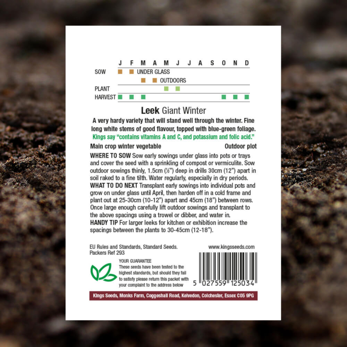 Vegetable Seeds - Leek Giant Winter - Pack Reverse