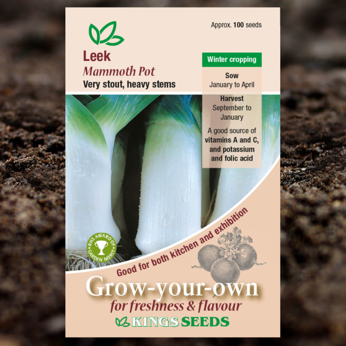 Vegetable Seeds - Leek Mammoth Pot