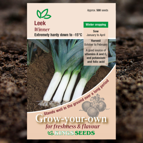 Vegetable Seeds - Leek Winner