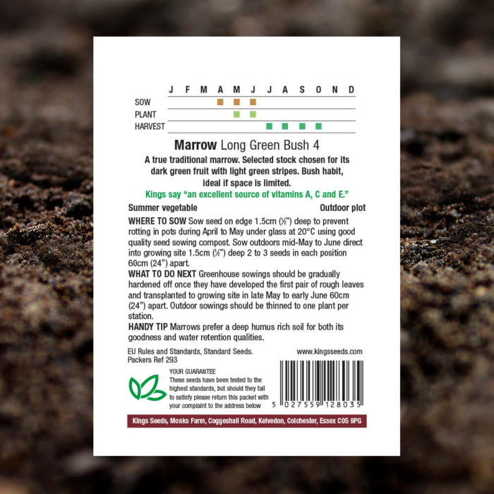 Vegetable Seeds - Marrow Long Green Bush 4 - Pack Reverse