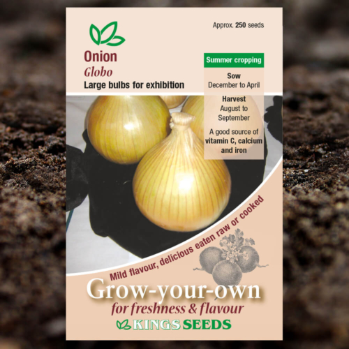 Vegetable Seeds - Onion Globo