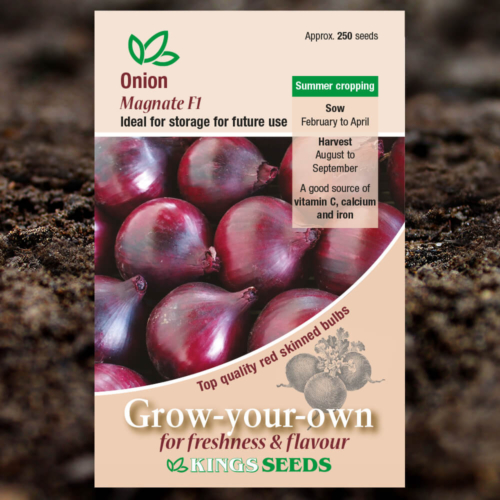Vegetable Seeds - Onion Magnate F1