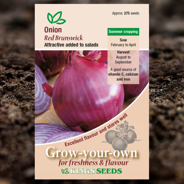 Vegetable Seeds - Onion Red Brunswick