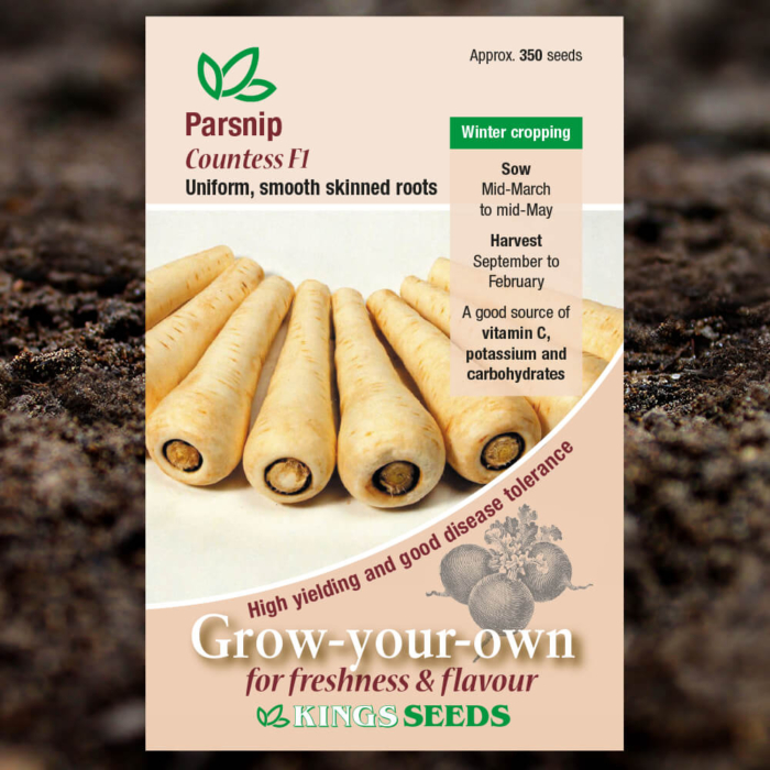 Vegetable Seeds - Parsnip Countess F1