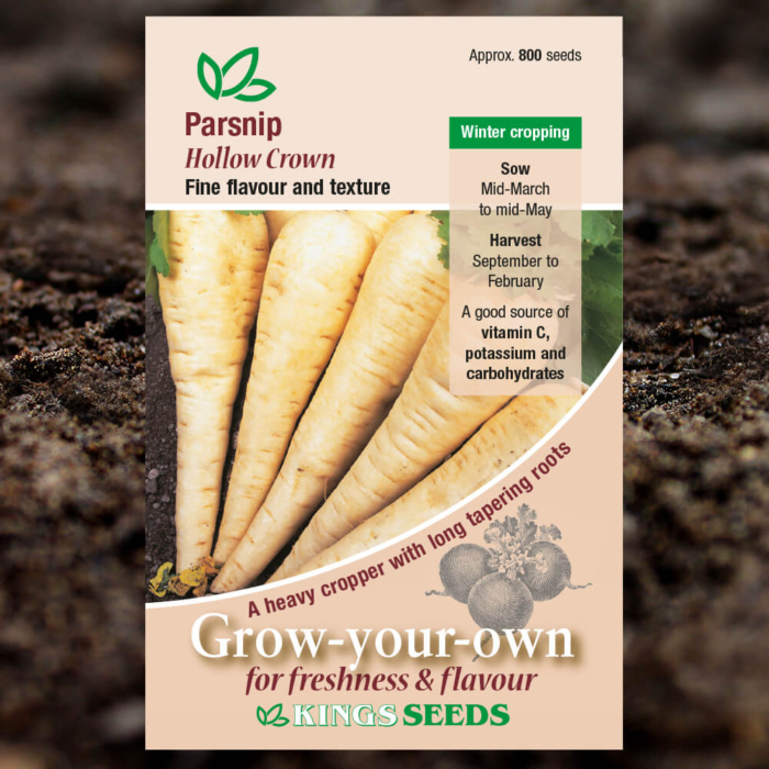 Vegetable Seeds - Parsnip Hollow Crown