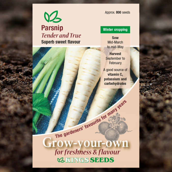 Vegetable Seeds - Parsnip Tender and True