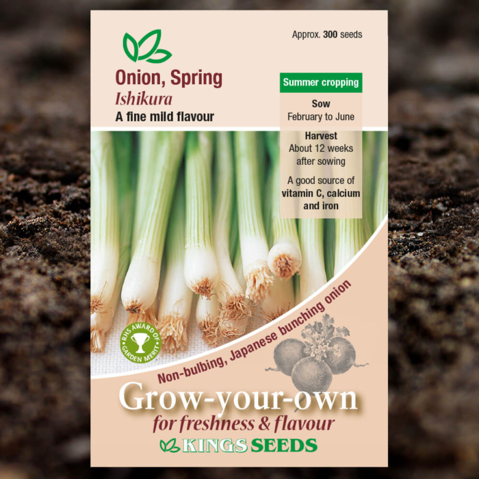 Vegetable Seeds - Spring Onion Ishikura