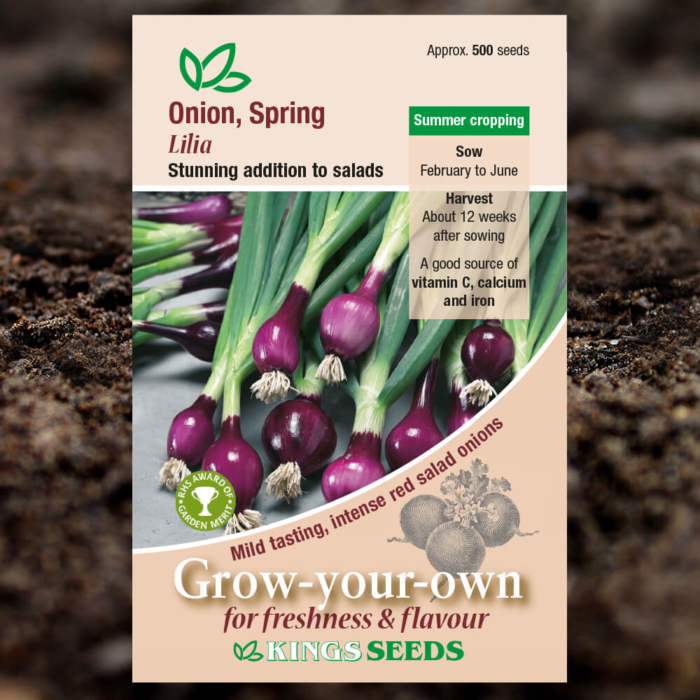 Vegetable Seeds - Spring Onion Lilia