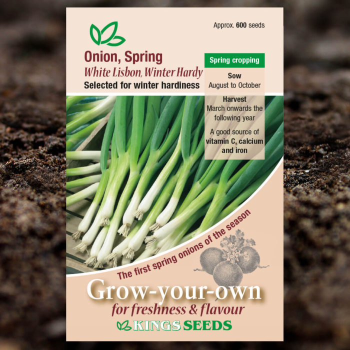 Vegetable Seeds - Spring Onion White Lisbon - Winter Hardy