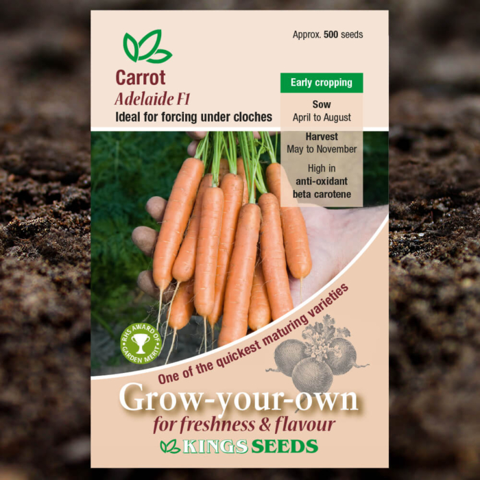 Vegetable Seeds - Vegetable Seeds - Carrot Adelaide F1