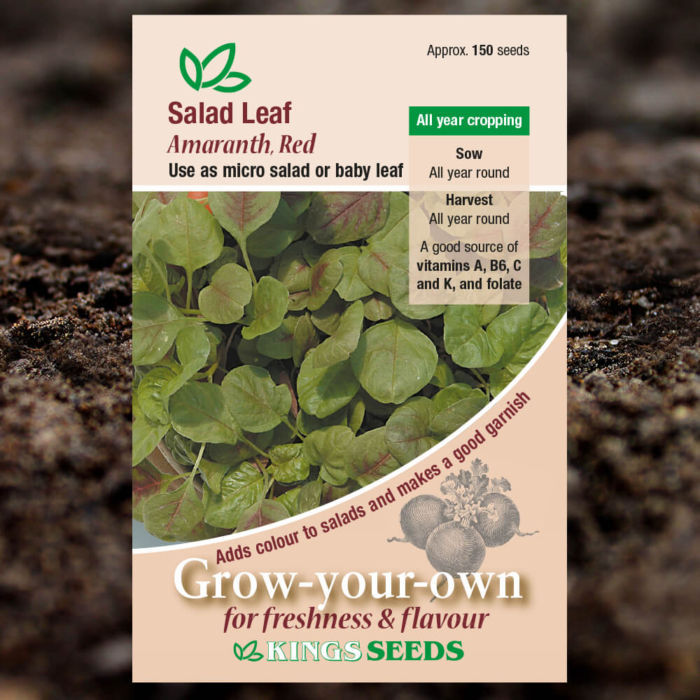 Salad Seeds - Leaf Amaranthus Red