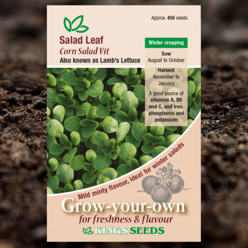 Salad Seeds - Leaf Corn Salad Vit - Lambs Lettuce