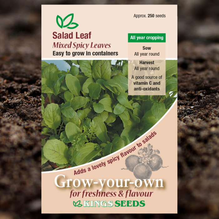 Salad Seeds - Leaf Mixed Spicy Leaves