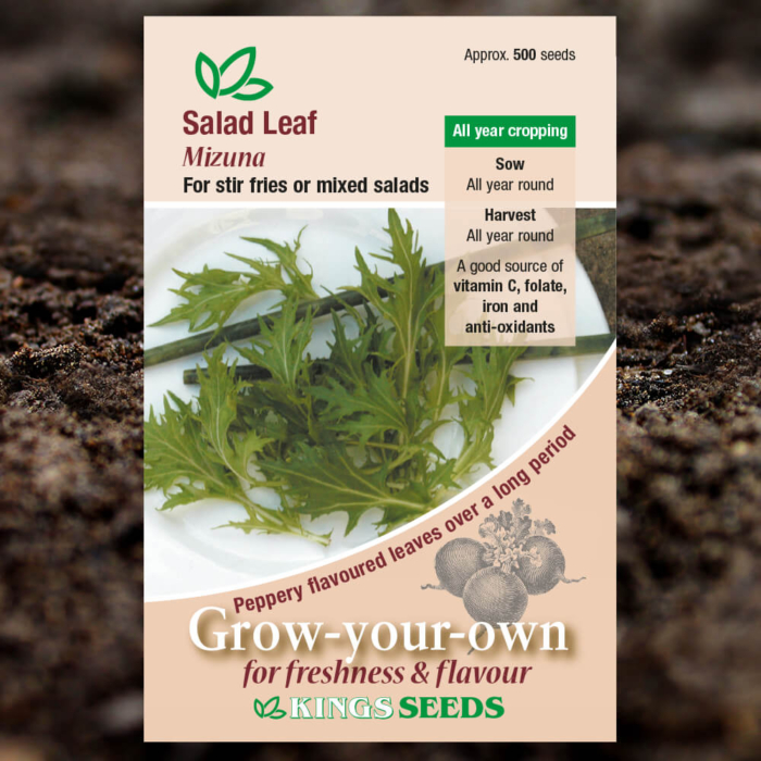 Salad Seeds - Leaf Mizuna